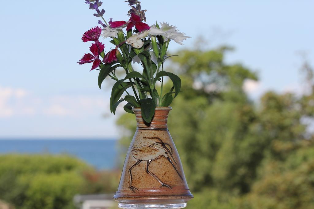 Hotel Zum Strandlaufer Ahrenshoop Δωμάτιο φωτογραφία